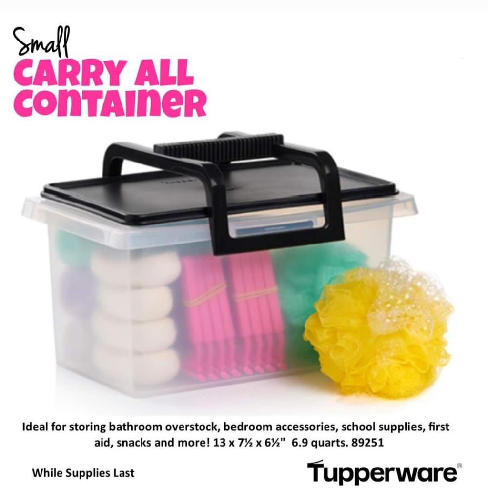 Tupperware small carry all container